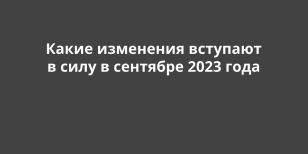       2023 
