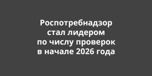 �����������������: ��������������� ���� ������� �� ����� �������� � ������ 2026 ����