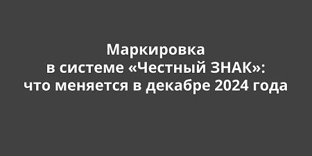     ʻ:    2024 