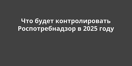      2025 